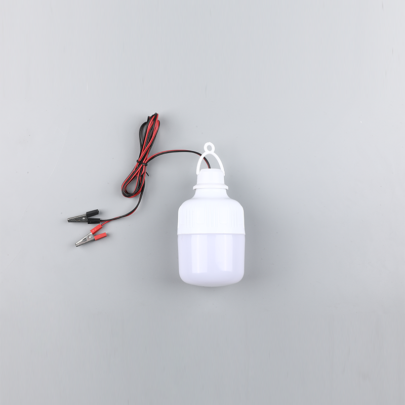 एलईडी बल्ब-dc12v 24v